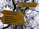 IM000291.JPG: Hela Schweiz myllrar av vandringsleder, även de som går rakt igenom städer och byar. Lederna är dessutom mycket väl utmärkta med skyltar och färgmarkeringar.